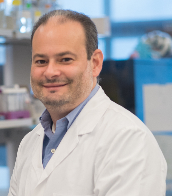 Dr. Shulman