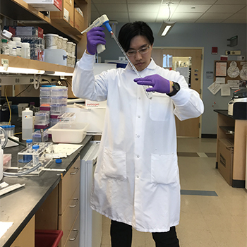 lab image