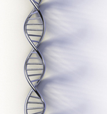 dna
